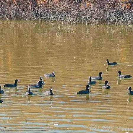 Golf, 300m Construidos *