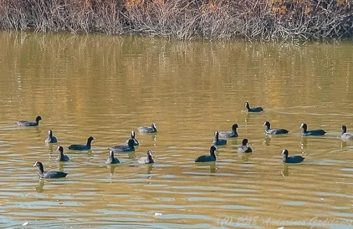 Golf, 300m Construidos *